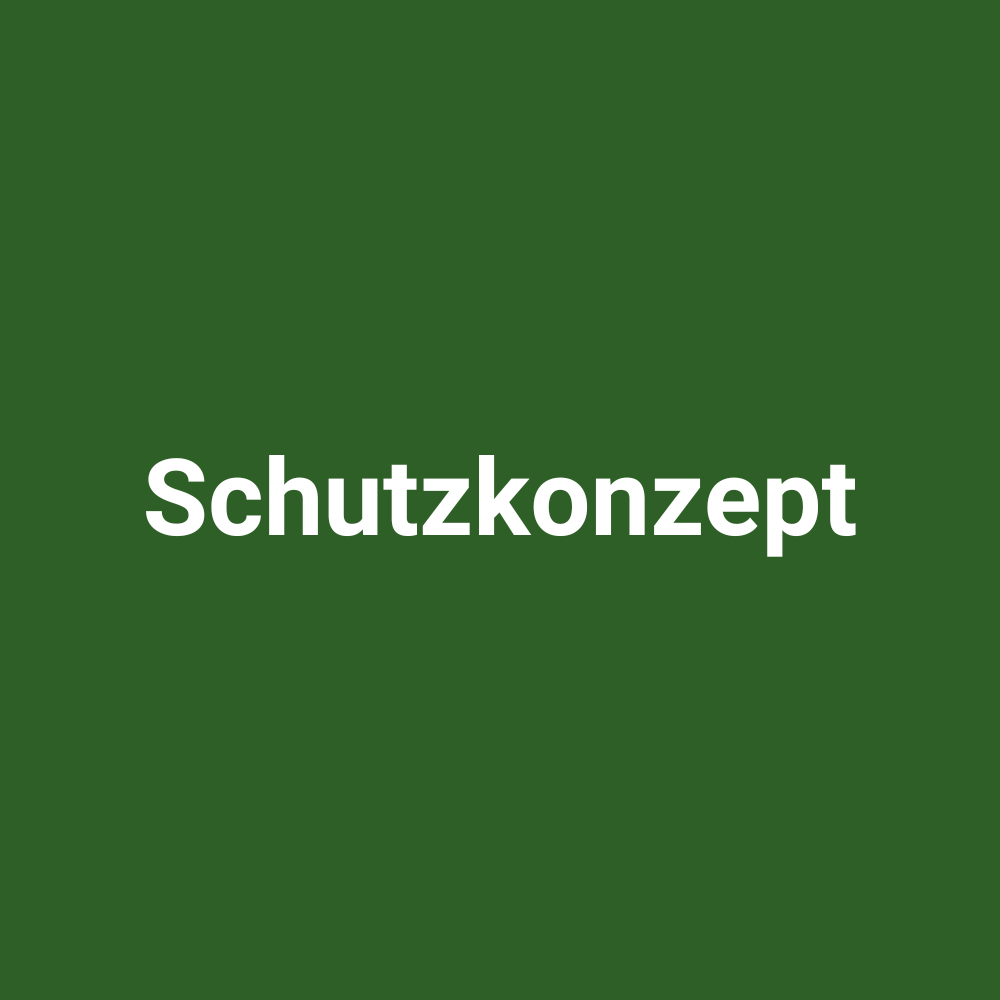 Downloads_Schutzkonzept